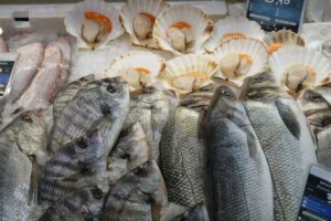 Dettaglio del banco Pescheria Porto Garibaldi, Mercato Albinelli di Modena